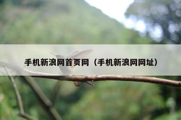 手机新浪网首页网（手机新浪网网址）