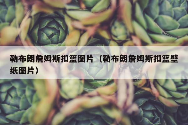 勒布朗詹姆斯扣篮图片（勒布朗詹姆斯扣篮壁纸图片）