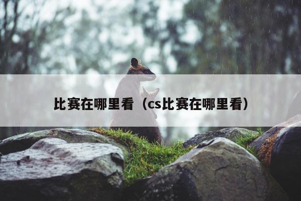 比赛在哪里看（cs比赛在哪里看）