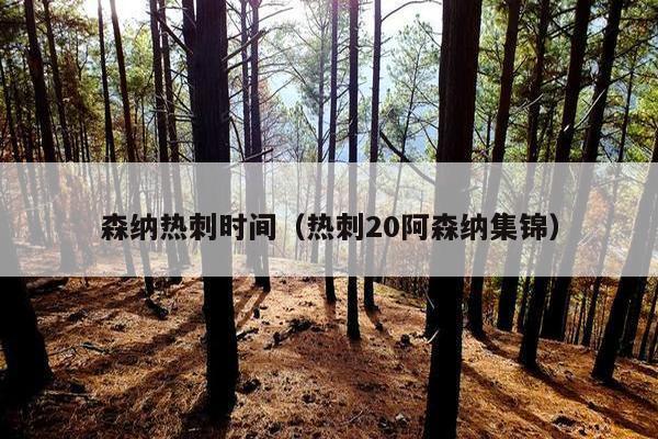 森纳热刺时间（热刺20阿森纳集锦）