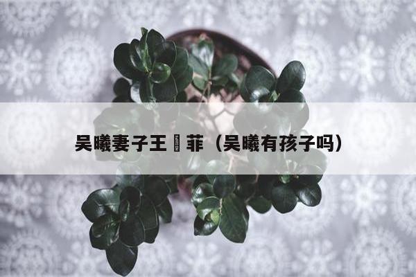 吴曦妻子王堉菲（吴曦有孩子吗）