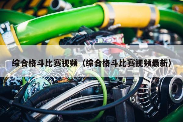 综合格斗比赛视频（综合格斗比赛视频最新）