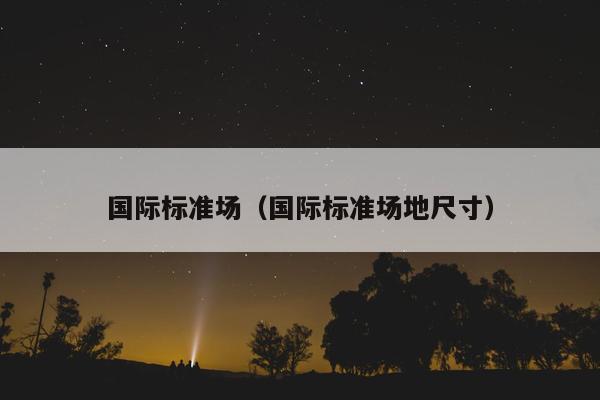 国际标准场（国际标准场地尺寸）