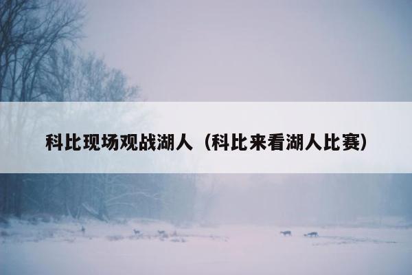 科比现场观战湖人（科比来看湖人比赛）