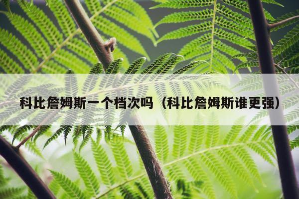 科比詹姆斯一个档次吗（科比詹姆斯谁更强）