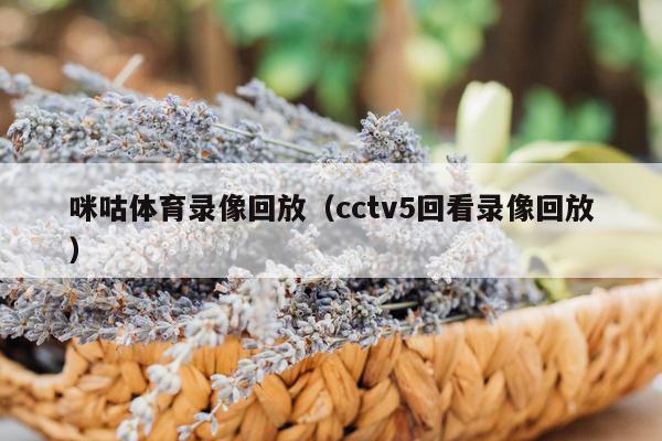 咪咕体育录像回放（cctv5回看录像回放）