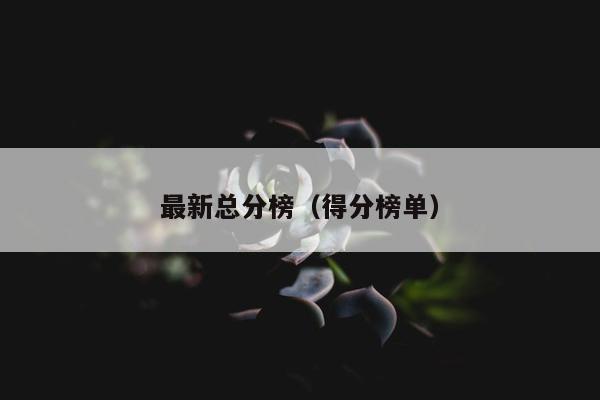 最新总分榜（得分榜单）