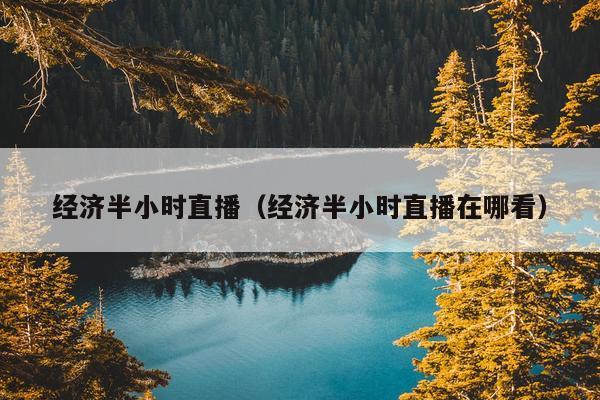 经济半小时直播（经济半小时直播在哪看）