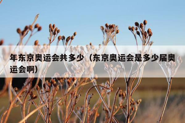 年东京奥运会共多少（东京奥运会是多少届奥运会啊）