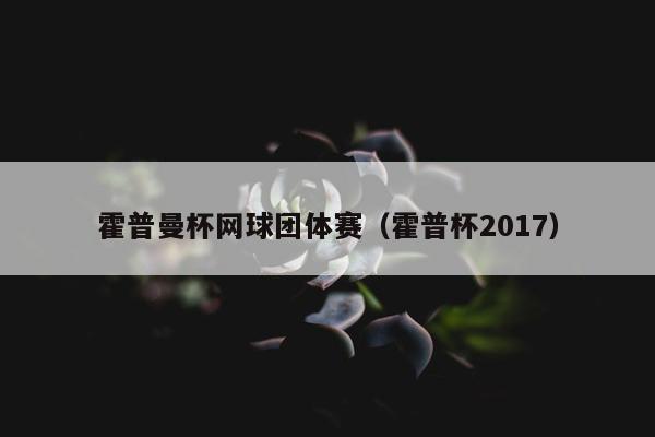 霍普曼杯网球团体赛（霍普杯2017）