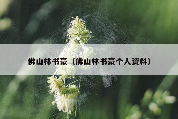 佛山林书豪（佛山林书豪个人资料）