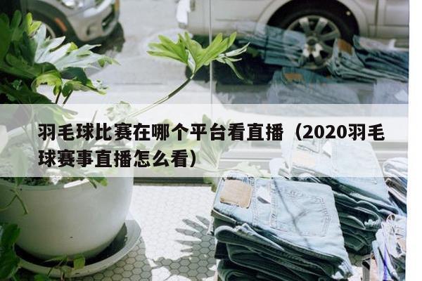 羽毛球比赛在哪个平台看直播（2020羽毛球赛事直播怎么看）