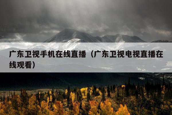 广东卫视手机在线直播（广东卫视电视直播在线观看）