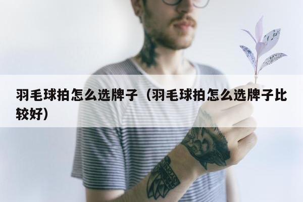 羽毛球拍怎么选牌子（羽毛球拍怎么选牌子比较好）