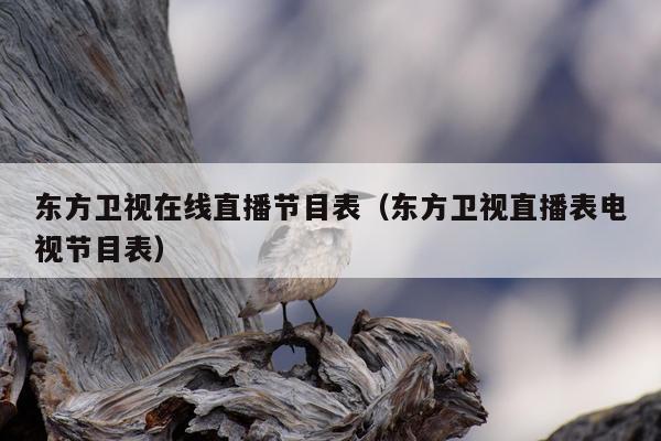 东方卫视在线直播节目表（东方卫视直播表电视节目表）