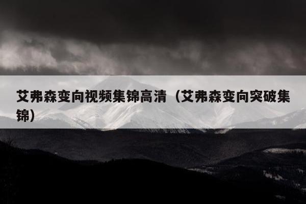 艾弗森变向视频集锦高清（艾弗森变向突破集锦）