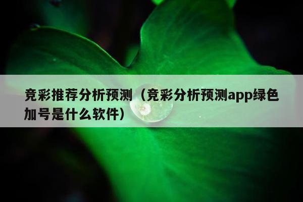 竞彩推荐分析预测（竞彩分析预测app绿色加号是什么软件）