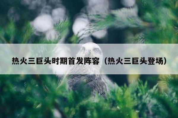 热火三巨头时期首发阵容（热火三巨头登场）