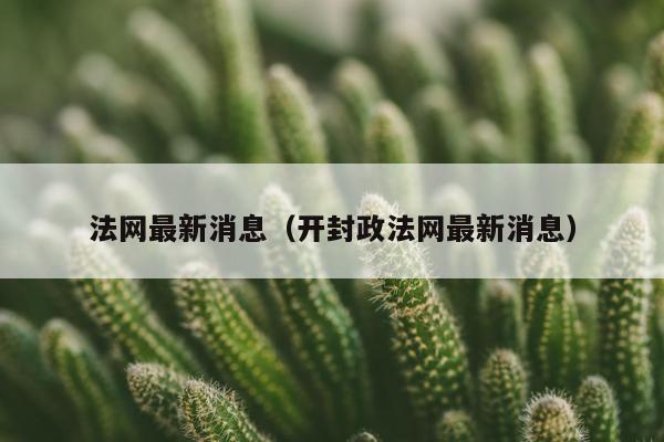 法网最新消息（开封政法网最新消息）