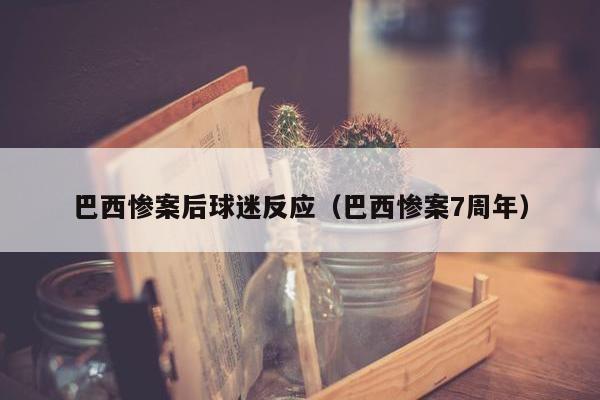 巴西惨案后球迷反应（巴西惨案7周年）