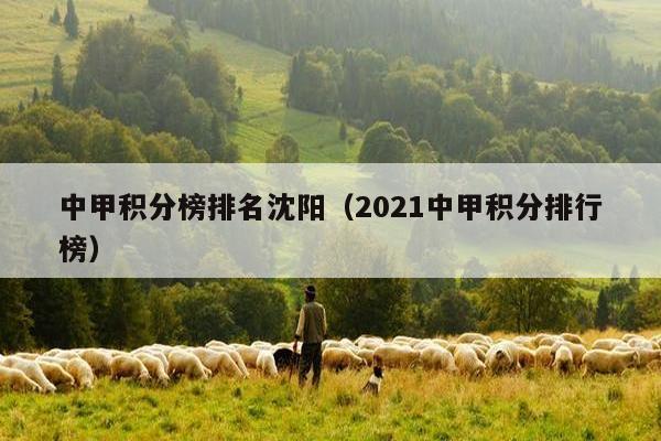 中甲积分榜排名沈阳（2021中甲积分排行榜）