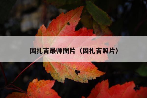 因扎吉最帅图片（因扎吉照片）