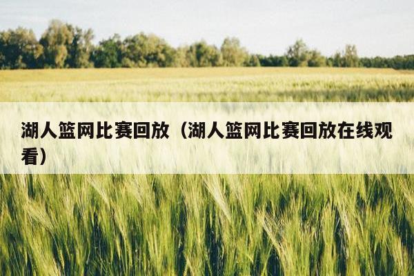 湖人篮网比赛回放（湖人篮网比赛回放在线观看）