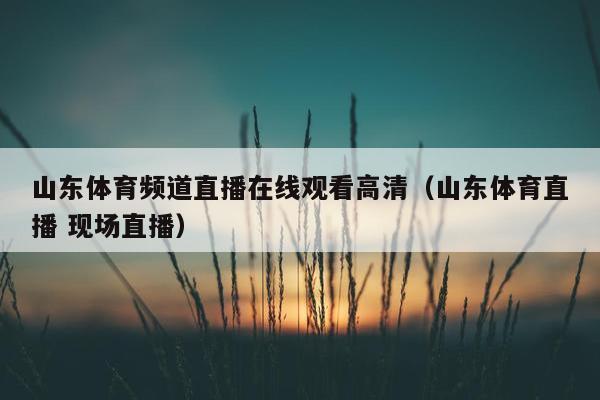 山东体育频道直播在线观看高清（山东体育直播 现场直播）