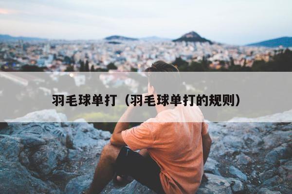 羽毛球单打（羽毛球单打的规则）