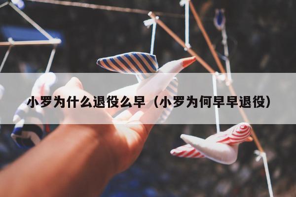 小罗为什么退役么早（小罗为何早早退役）