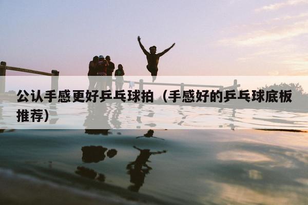 公认手感更好乒乓球拍（手感好的乒乓球底板推荐）