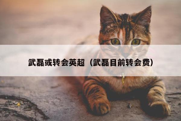 武磊或转会英超（武磊目前转会费）