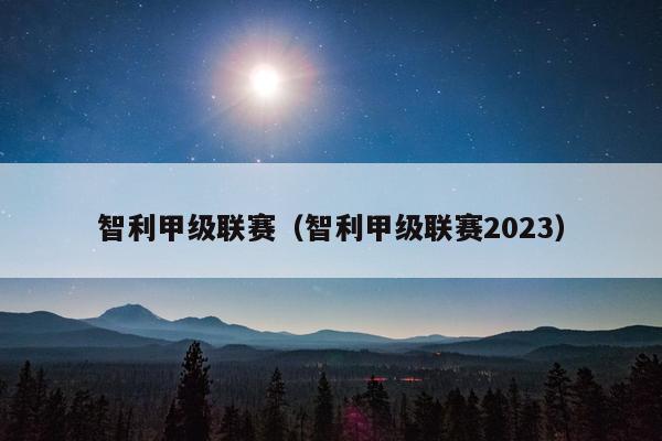 智利甲级联赛（智利甲级联赛2023）