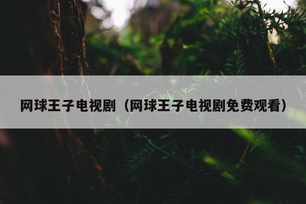 网球王子电视剧（网球王子电视剧免费观看）