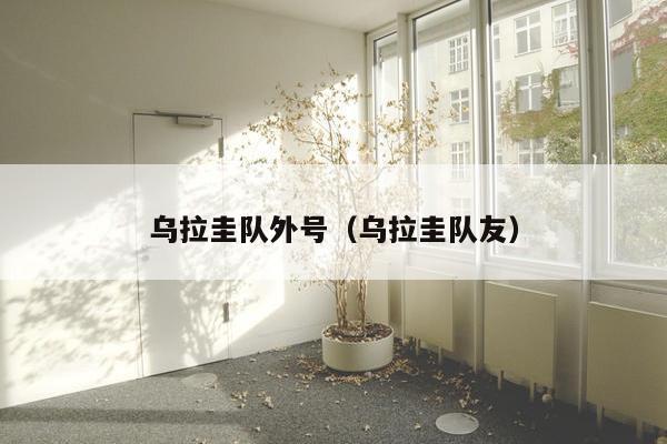 乌拉圭队外号（乌拉圭队友）