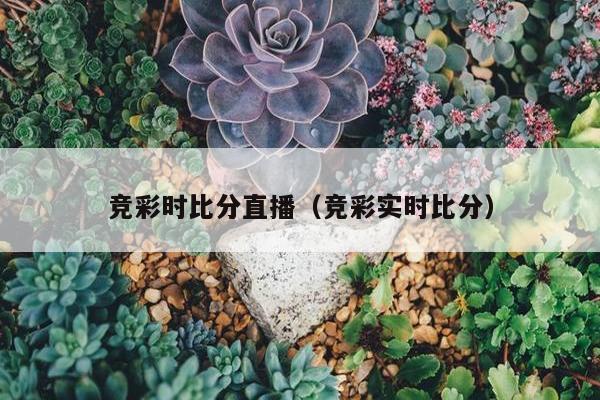 竞彩时比分直播（竞彩实时比分）