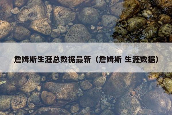 詹姆斯生涯总数据最新（詹姆斯 生涯数据）