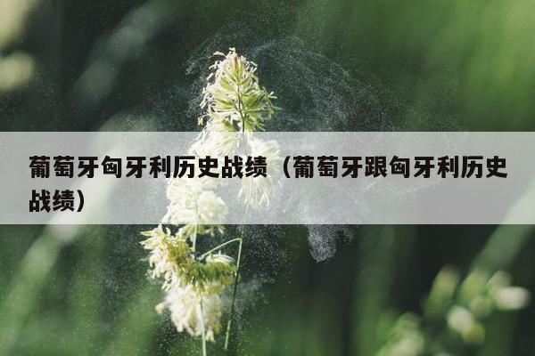 葡萄牙匈牙利历史战绩（葡萄牙跟匈牙利历史战绩）