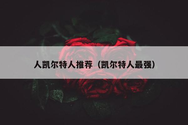 人凯尔特人推荐（凯尔特人最强）