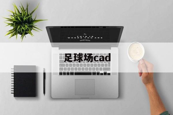 足球场cad（足球场CAD图纸）