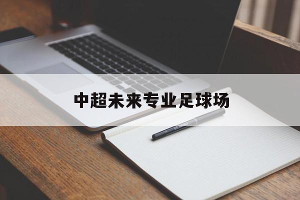 中超未来专业足球场（2021年中超足球场）