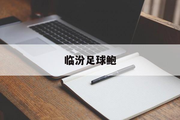 临汾足球鲍（临汾广电网官网）