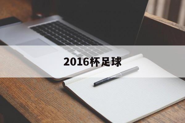 2016杯足球（2016年足协杯决赛）