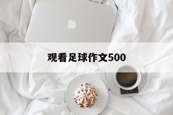 观看足球作文500（观看足球赛的作文500字）