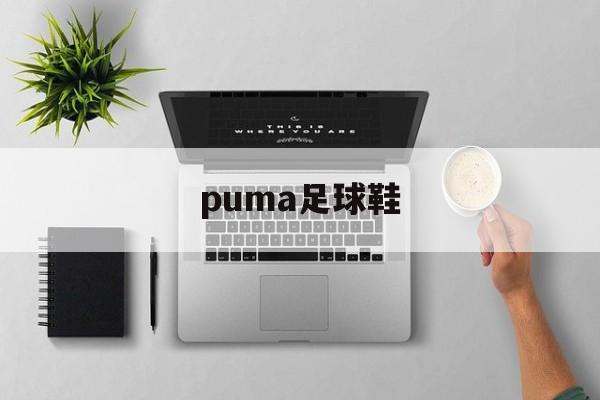 puma足球鞋（puma足球鞋系列介绍）