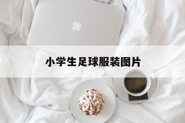 小学生足球服装图片（小学生足球服装图片简笔画）