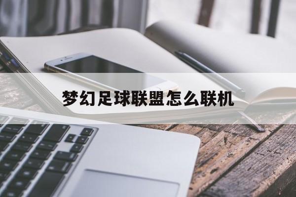 梦幻足球联盟怎么联机（梦幻足球联盟本地wifi联机）