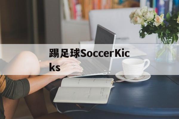 踢足球SoccerKicks（足球是soccer还是football）