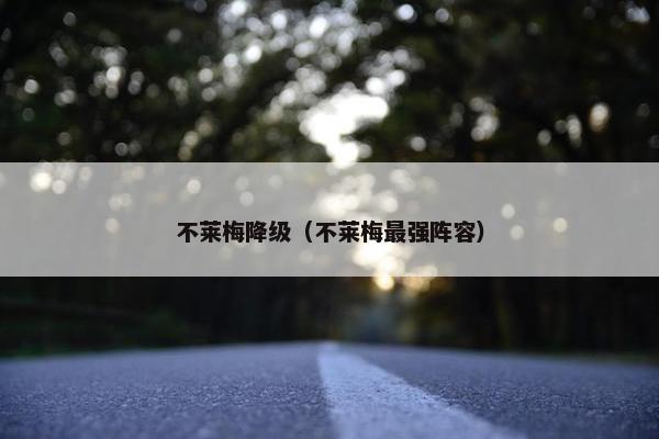 不莱梅降级（不莱梅最强阵容）