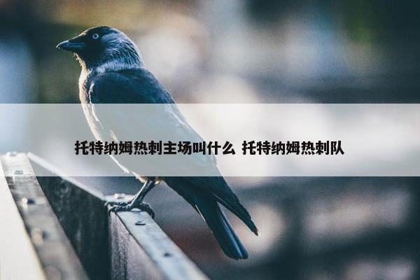 托特纳姆热刺主场叫什么 托特纳姆热刺队